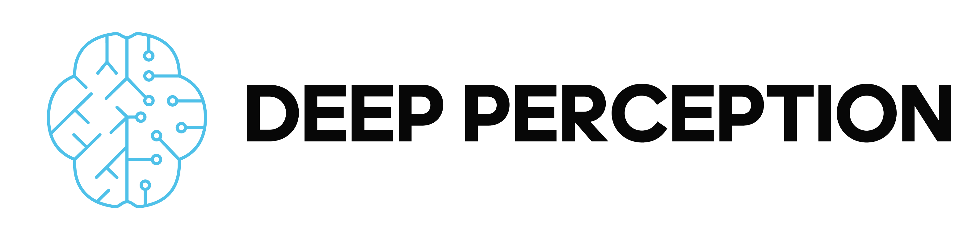 Deep Perception